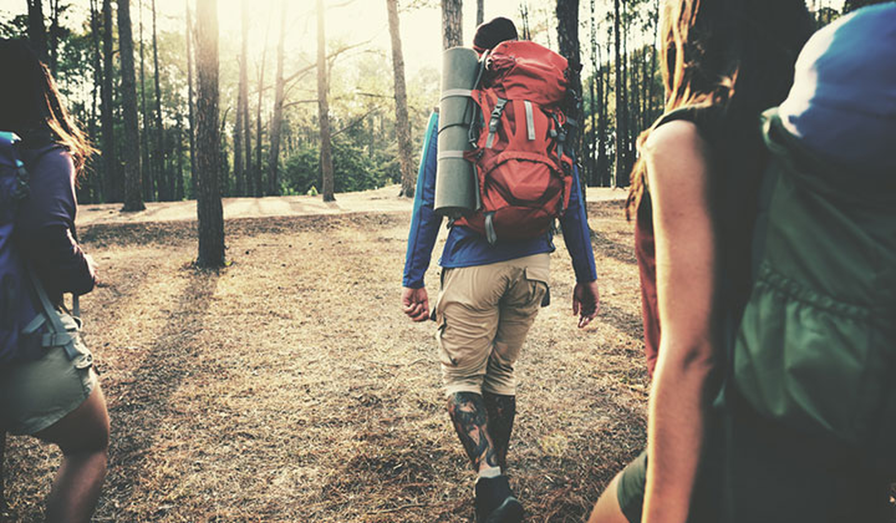 A group of backpackers walking through a forest