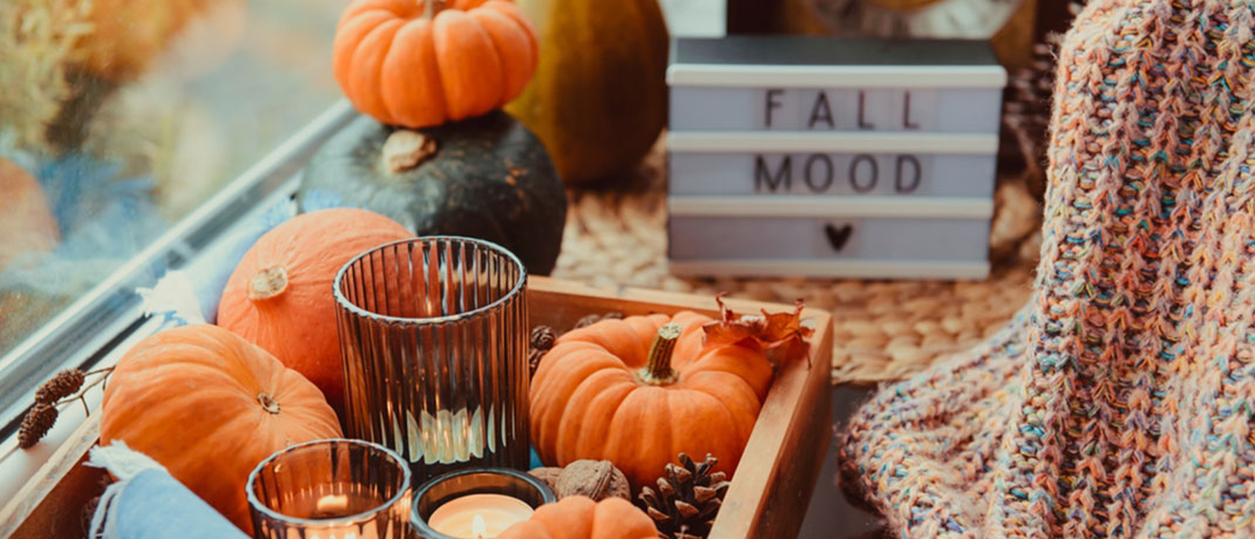 Fall for These Scary Good Seasonal Savings