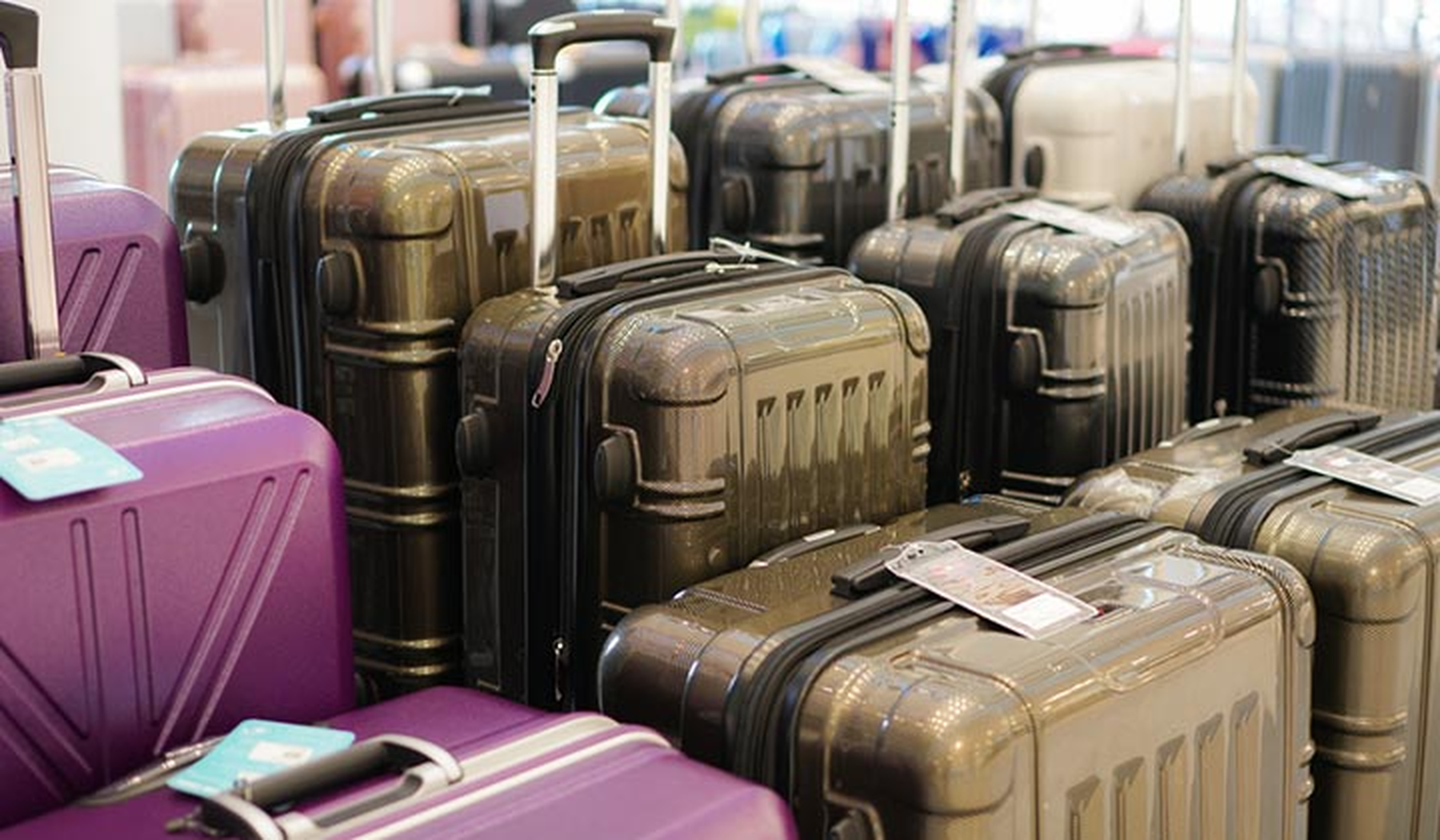 Rows of luggage in a store