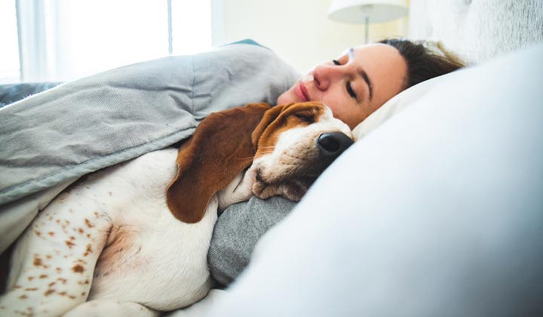 Woman and dog sleeping together in a bed